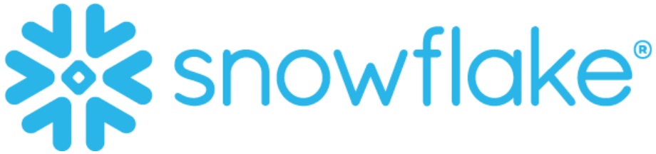 Snowflake logo for homepage