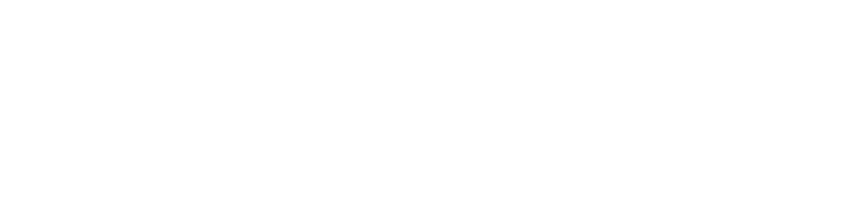 New Alation logo White