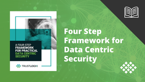 Download the eBook, A Four Step Framework for Data-Centric Security